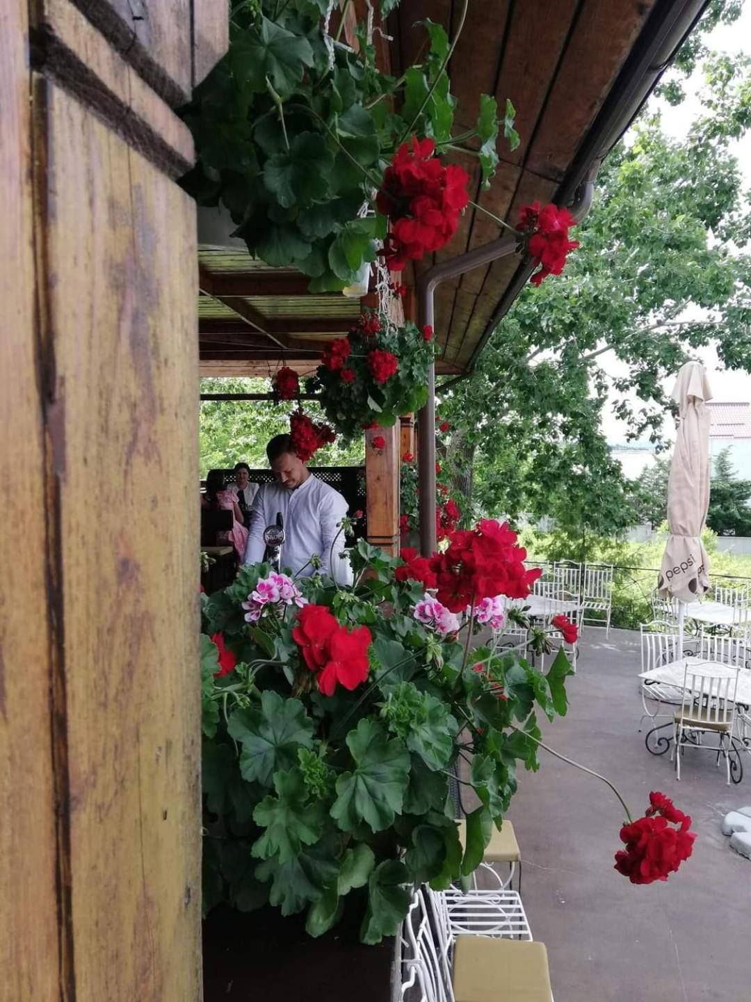 Hotel Casa Boiereasca Iasi Esterno foto